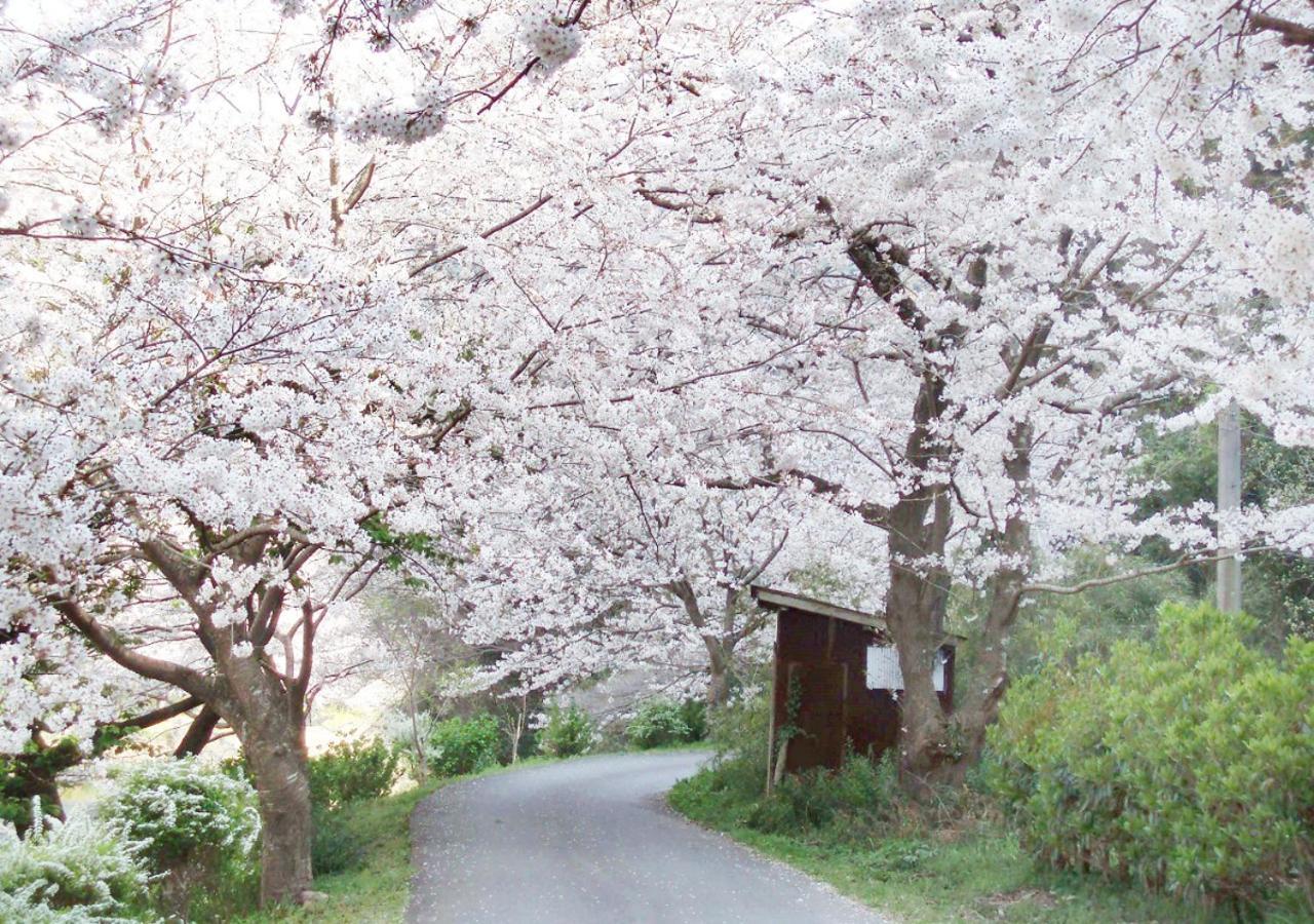西伊豆松崎伊東園ホテル 松崎町 エクステリア 写真
