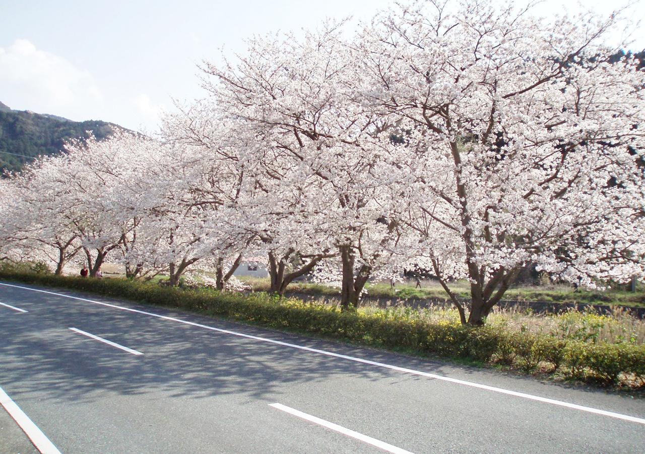 西伊豆松崎伊東園ホテル 松崎町 エクステリア 写真